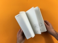 https://www.nikkiroach.com/files/gimgs/th-55_02_fisherbook.jpg