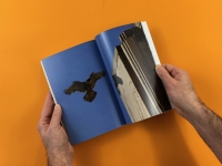 https://www.nikkiroach.com/files/gimgs/th-55_05_fisherbook.jpg